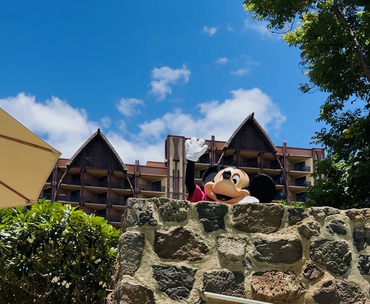 アウラニ レビュー