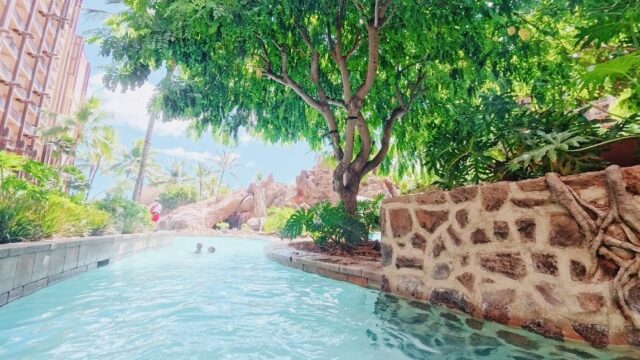 アウラニ レビュー