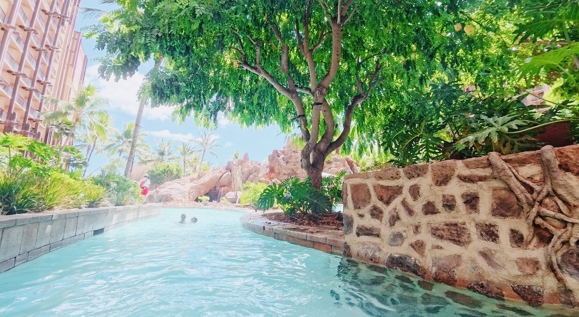 アウラニ レビュー